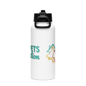 Stainless steel water bottle with a straw lid